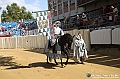 VBS_0826 - Palio di Asti 2024